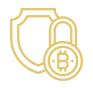 Shield and lock icon